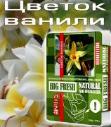 BIG FRESH Цветок ванили (200 гр)